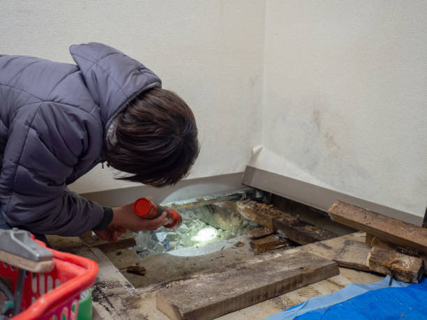 Best Crawl Space Mold Remediation  in Big Sky, MT