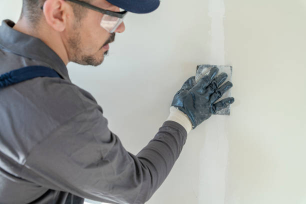 Best Mold Removal for HVAC Installations  in Big Sky, MT