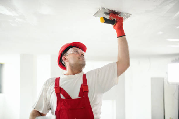 Best Dehumidification Services  in Big Sky, MT