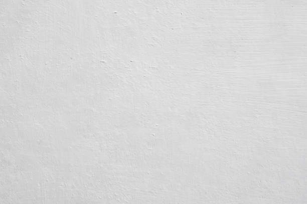 Best Mold Remediation for Rental Properties  in Big Sky, MT