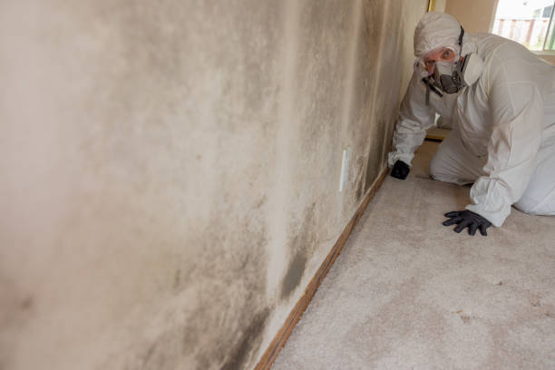 Best HVAC Mold Inspection and Cleaning  in Big Sky, MT