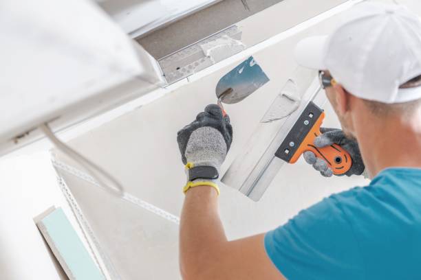 Best Water Damage & Mold Remediation  in Big Sky, MT